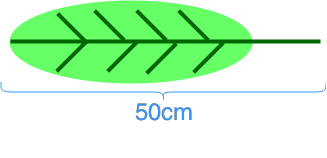 Understanding scale drawings with examples