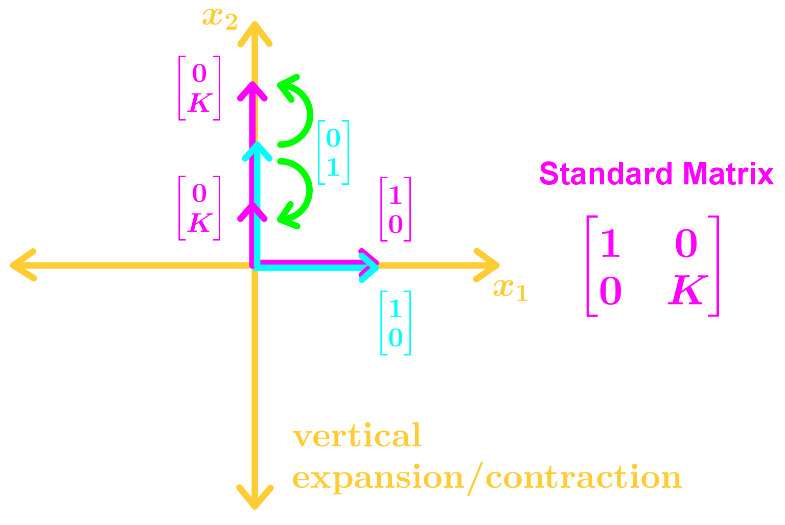 vertical expansion/contraction