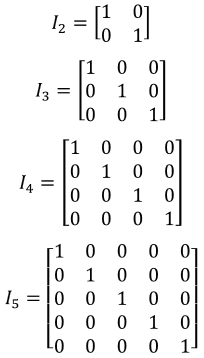 identity matrix of various n