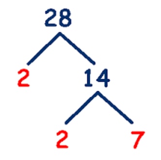 prime factorization number 28 factor factors maths tree numbers find trees multiples smallest continue because only