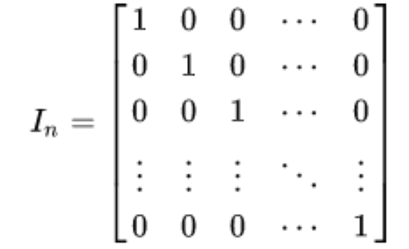 Equation 1: General expression of an identity matrix