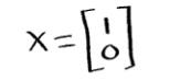 Equation 11: Vector x