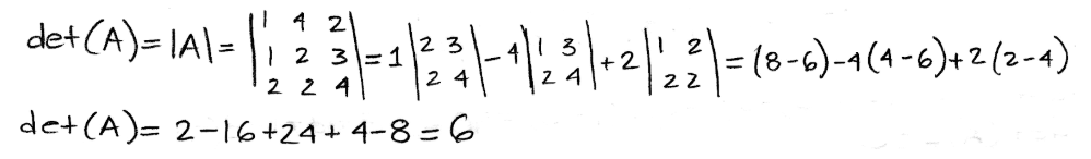 Equation 19: Determinant of A through general method
