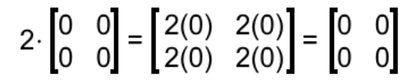 Equation 19: Result of the scalar multiplication of a zero matrix