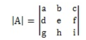 Equation 2: Determinant of matrix A
