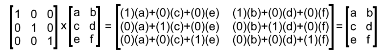 Equation 3: Multiplying an identity matrix times a non-unit matrix