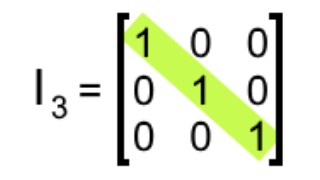 Equation 7: Example of an identity matrix of order 3x3