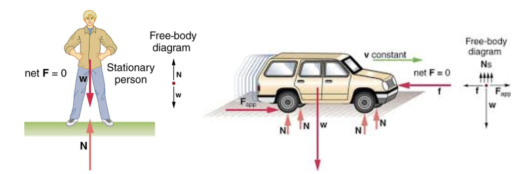 Figure 1: Free-body diagrams of a stationary person and a car in motion