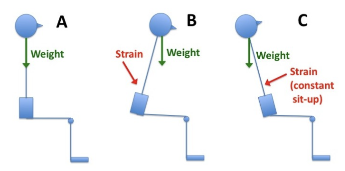 Figure 7: Force diagram on office ergonomics