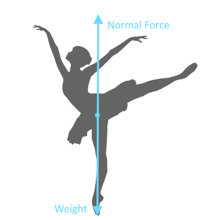 Figure 8: Free body diagram on a ballet dancer