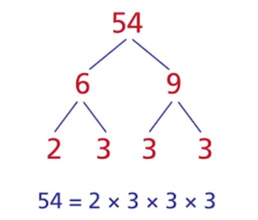 Use factor tree to factorize 54